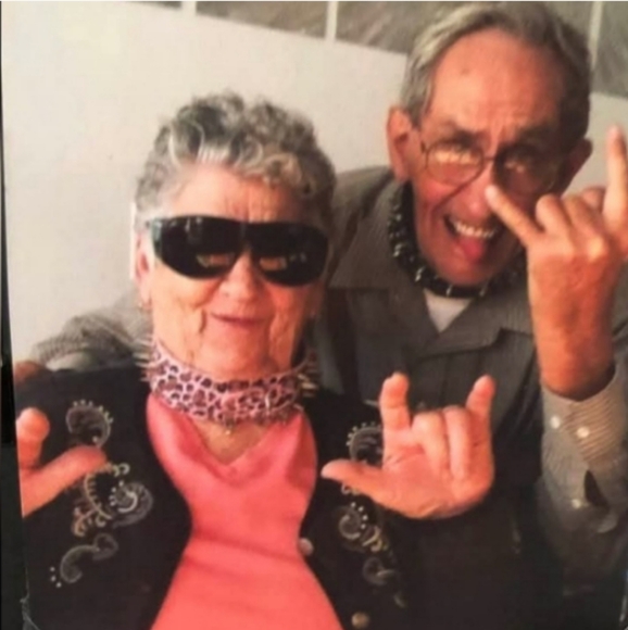 National Audubon Society Field Guide to North American Birds : Eastern Region EC - Picture 15 of 16